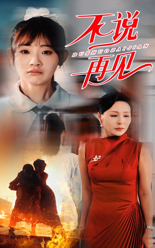 不说再见 短剧版