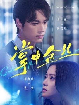 掌中金丝 长姐她竟是隐藏大佬