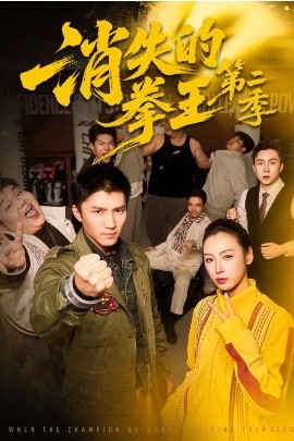 消失的拳王第二季